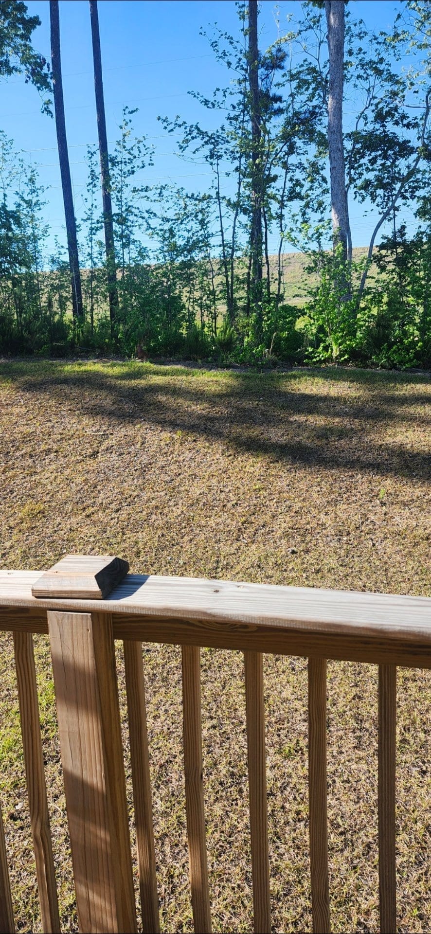 Reader-submitted lawn photo — Unknown lawn issue