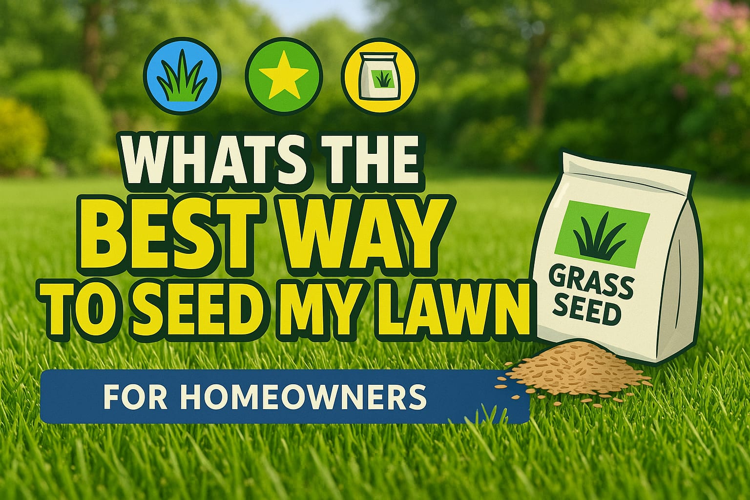 What'S The Best Way To Seed My Lawn - lawn care blog header image